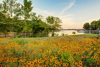 Beautiful Lake Views at LangTree Lake Norman Apartments, Mooresville, North Carolina